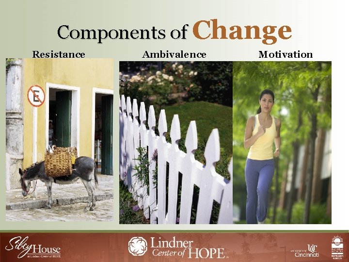 Components of Change Resistance Ambivalence Motivation 