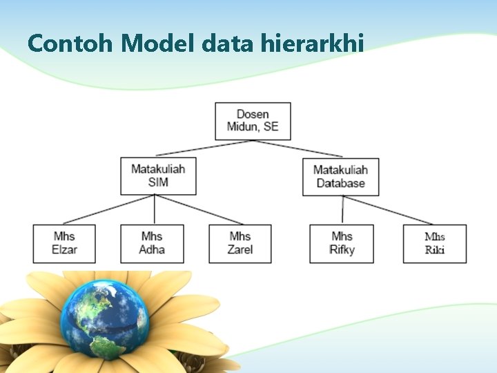 Contoh Model data hierarkhi 