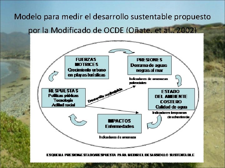 Modelo para medir el desarrollo sustentable propuesto por la Modificado de OCDE (Oñate, et
