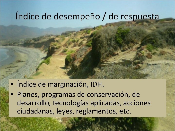 Índice de desempeño / de respuesta • Índice de marginación, IDH. • Planes, programas