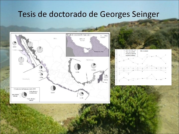 Tesis de doctorado de Georges Seinger 