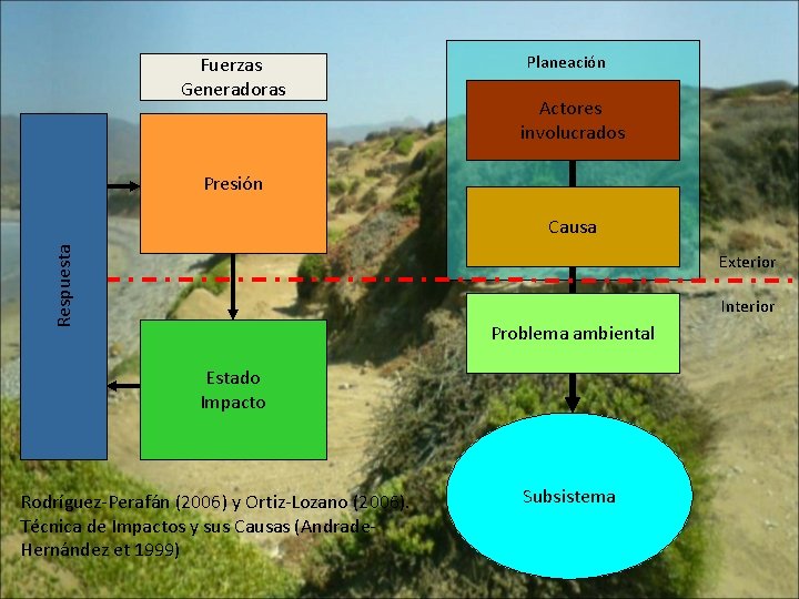 Fuerzas Generadoras Planeación Actores involucrados Presión Respuesta Causa Exterior Interior Problema ambiental Estado Impacto