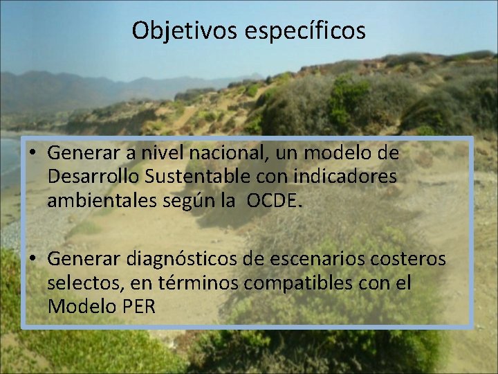 Objetivos específicos • Generar a nivel nacional, un modelo de Desarrollo Sustentable con indicadores