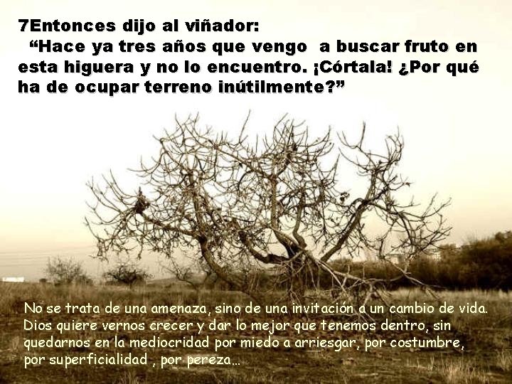 7 Entonces dijo al viñador: “Hace ya tres años que vengo a buscar fruto