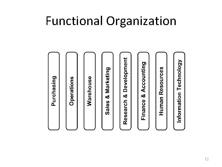 Functional Organization 12 