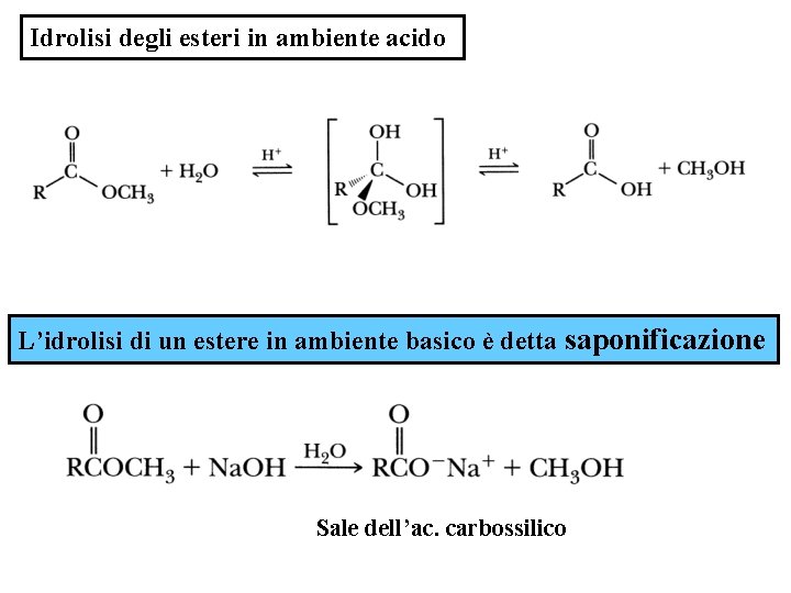 Idrolisi degli esteri in ambiente acido L’idrolisi di un estere in ambiente basico è