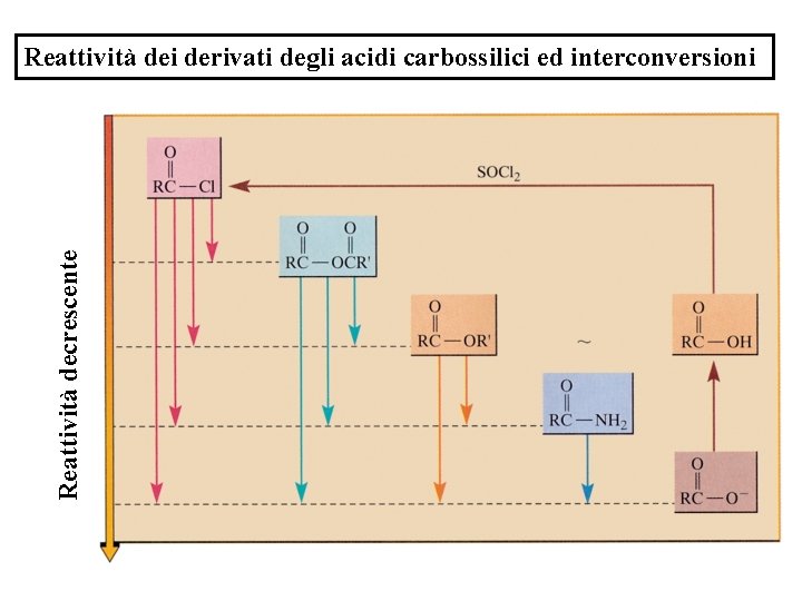 Reattività decrescente Reattività dei derivati degli acidi carbossilici ed interconversioni 