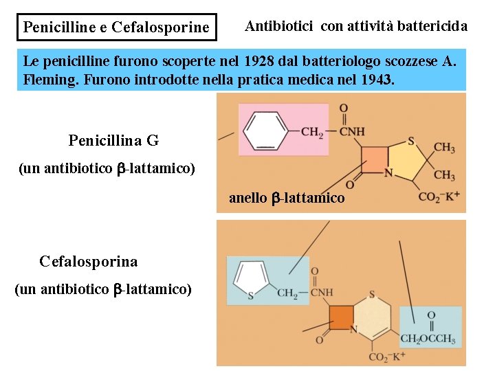 Penicilline e Cefalosporine Antibiotici con attività battericida Le penicilline furono scoperte nel 1928 dal