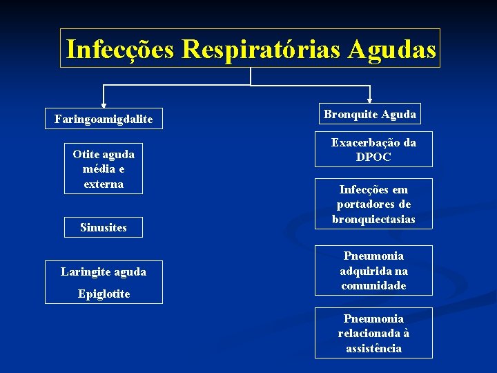 Infecções Respiratórias Agudas Faringoamigdalite Otite aguda média e externa Sinusites Laringite aguda Epiglotite Bronquite