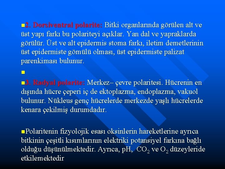 n 2. Dorsiventral polarite: Bitki organlarında görülen alt ve üst yapı farkı bu polariteyi