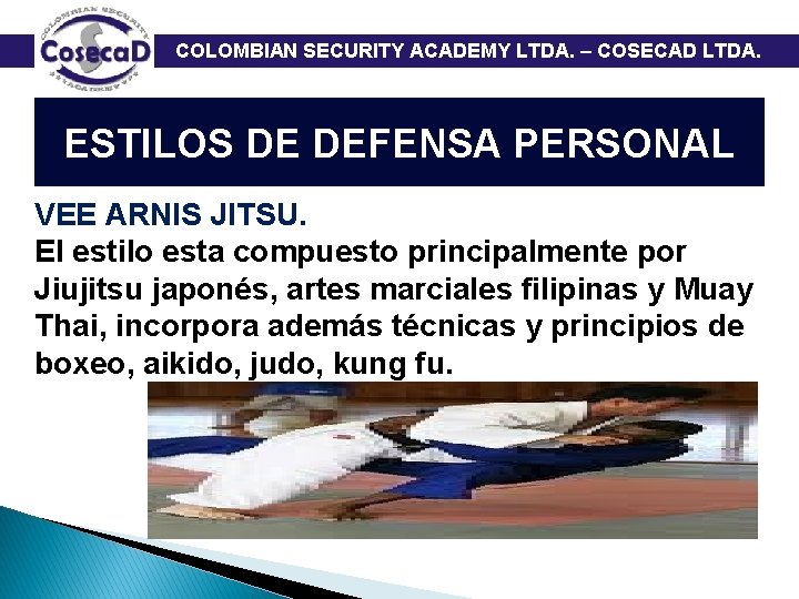 COLOMBIAN SECURITY ACADEMY LTDA. – COSECAD LTDA. ESTILOS DE DEFENSA PERSONAL VEE ARNIS