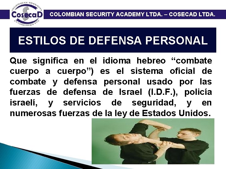  COLOMBIAN SECURITY ACADEMY LTDA. – COSECAD LTDA. ESTILOS DE DEFENSA PERSONAL Que significa