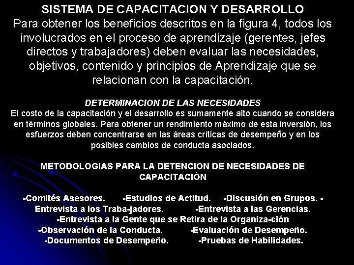 SISTEMA DE CAPACITACION Y DESARROLLO Para obtener los beneficios descritos en la figura 4,