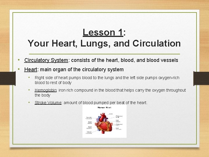 Lesson 1: Your Heart, Lungs, and Circulation • Circulatory System: consists of the heart,