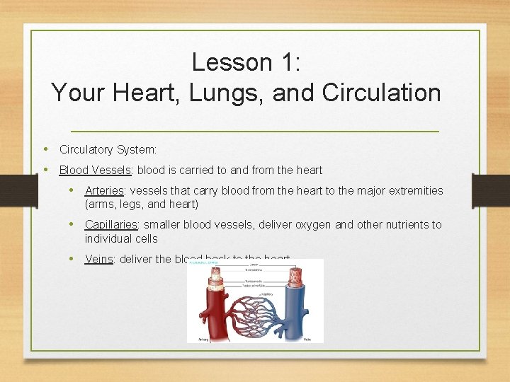 Lesson 1: Your Heart, Lungs, and Circulation • Circulatory System: • Blood Vessels: blood