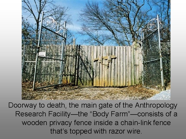 Doorway to death, the main gate of the Anthropology Research Facility—the “Body Farm”—consists of