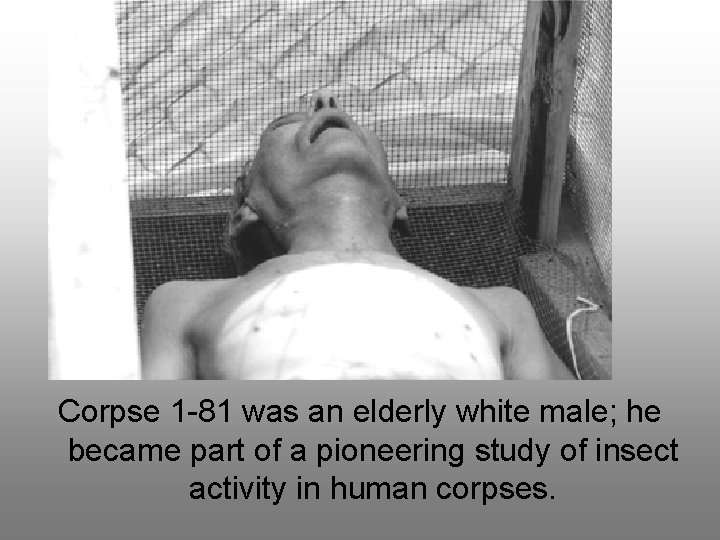 Corpse 1 -81 was an elderly white male; he became part of a pioneering