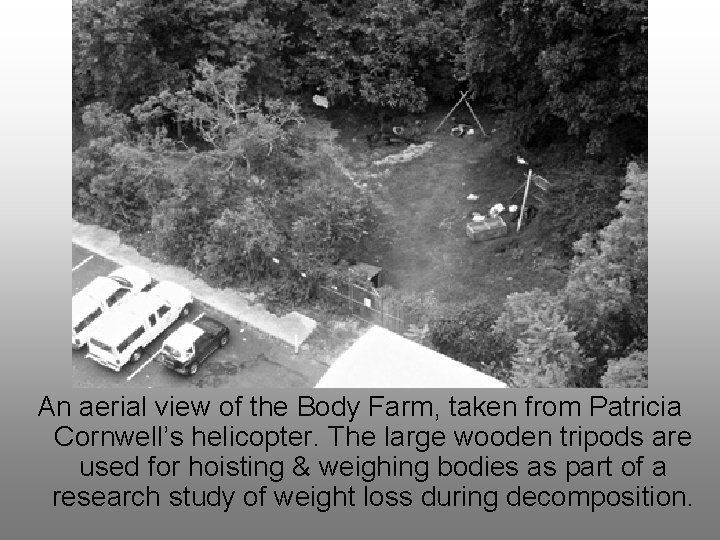 An aerial view of the Body Farm, taken from Patricia Cornwell’s helicopter. The large