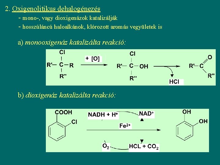 2. Oxigenolitikus dehalogénezés - mono-, vagy dioxigenázok katalizálják - hosszúláncú haloalkánok, klórozott aromás vegyületek