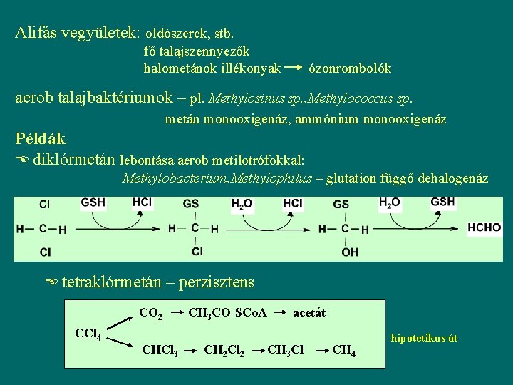 Alifás vegyületek: oldószerek, stb. fő talajszennyezők halometánok illékonyak ózonrombolók aerob talajbaktériumok – pl. Methylosinus