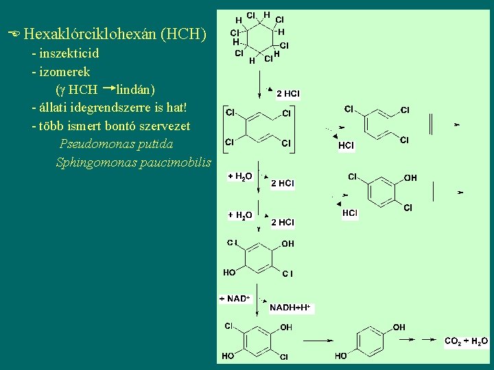  Hexaklórciklohexán (HCH) - inszekticid - izomerek ( HCH lindán) - állati idegrendszerre is