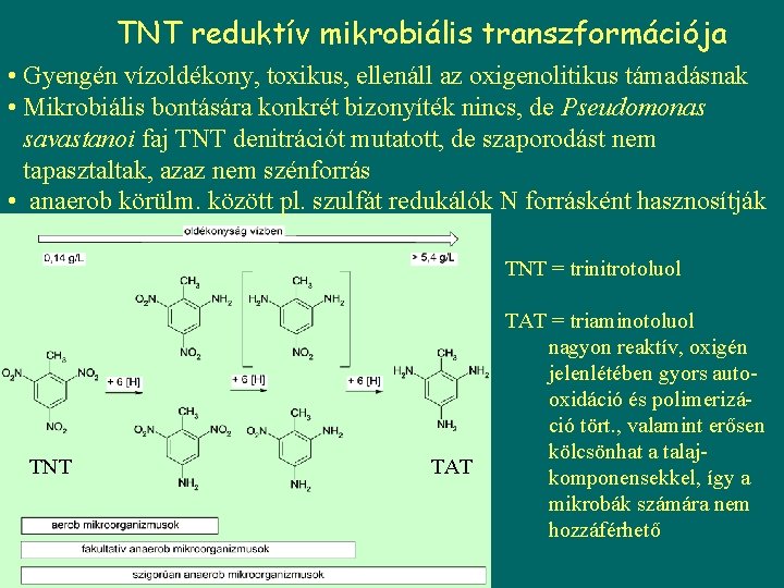 TNT reduktív mikrobiális transzformációja • Gyengén vízoldékony, toxikus, ellenáll az oxigenolitikus támadásnak • Mikrobiális