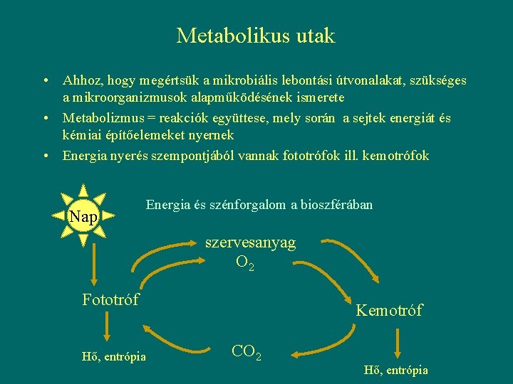 Metabolikus utak • Ahhoz, hogy megértsük a mikrobiális lebontási útvonalakat, szükséges a mikroorganizmusok alapműködésének