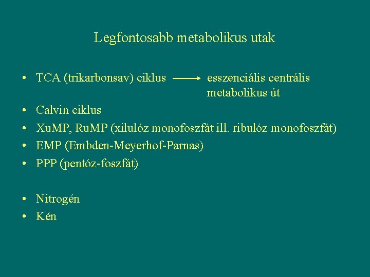 Legfontosabb metabolikus utak • TCA (trikarbonsav) ciklus • • esszenciális centrális metabolikus út Calvin