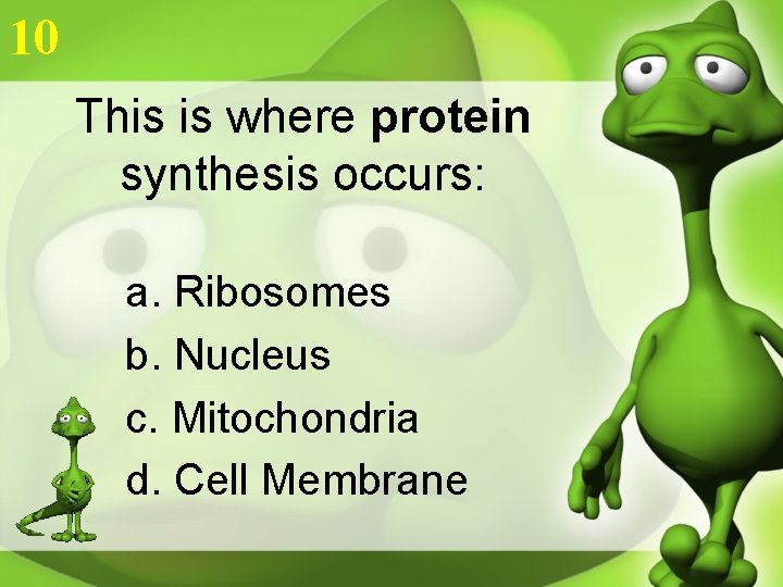 10 This is where protein synthesis occurs: a. Ribosomes b. Nucleus c. Mitochondria d.