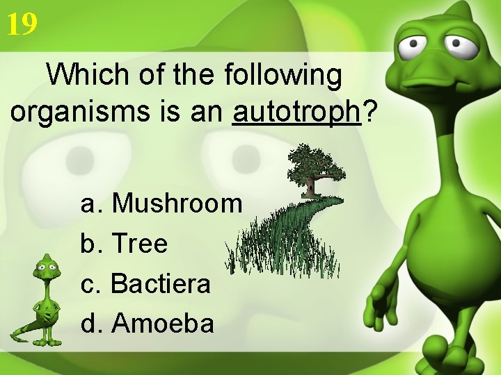 19 Which of the following organisms is an autotroph? a. Mushroom b. Tree c.