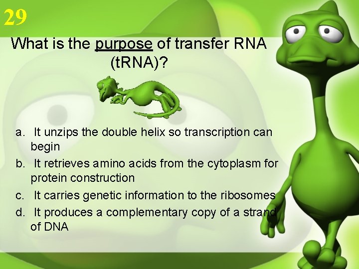 29 What is the purpose of transfer RNA (t. RNA)? a. It unzips the