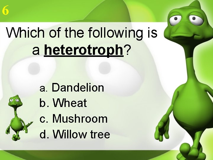 6 Which of the following is a heterotroph? a. Dandelion b. Wheat c. Mushroom