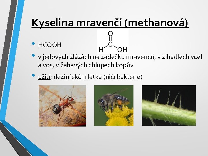 Kyselina mravenčí (methanová) • HCOOH • v jedových žlázách na zadečku mravenců, v žihadlech