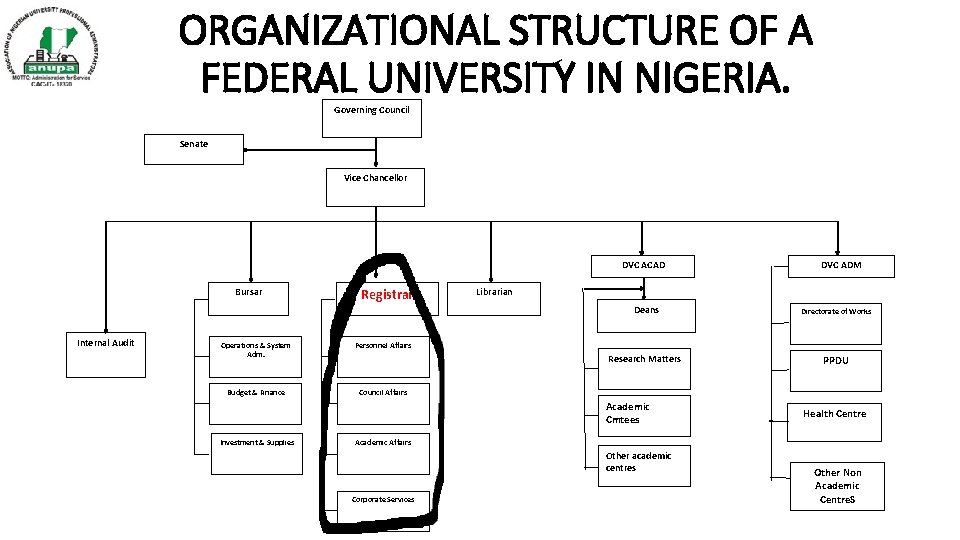 ORGANIZATIONAL STRUCTURE OF A FEDERAL UNIVERSITY IN NIGERIA. Governing Council Senate Vice Chancellor DVC