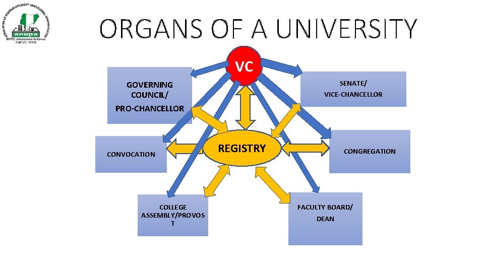 ORGANS OF A UNIVERSITY VC SENATE/ VICE-CHANCELLOR GOVERNING COUNCIL/ PRO-CHANCELLOR CONVOCATION COLLEGE ASSEMBLY/PROVOS T