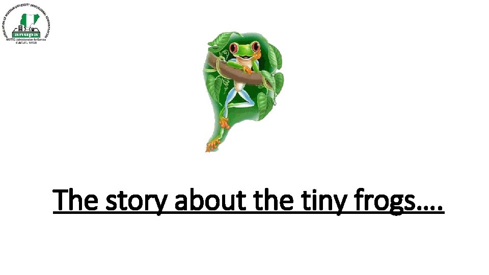 The story about the tiny frogs…. 