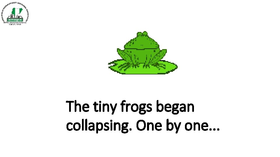 The tiny frogs began collapsing. One by one. . . 