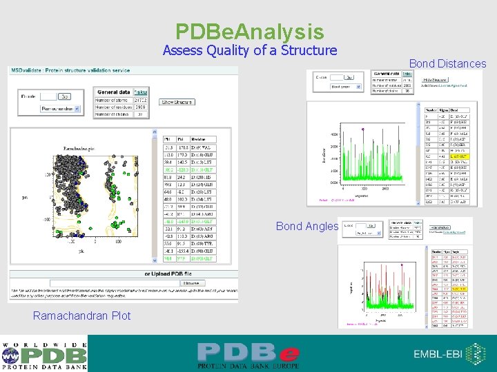 PDBe. Analysis Assess Quality of a Structure Bond Angles Ramachandran Plot Bond Distances 