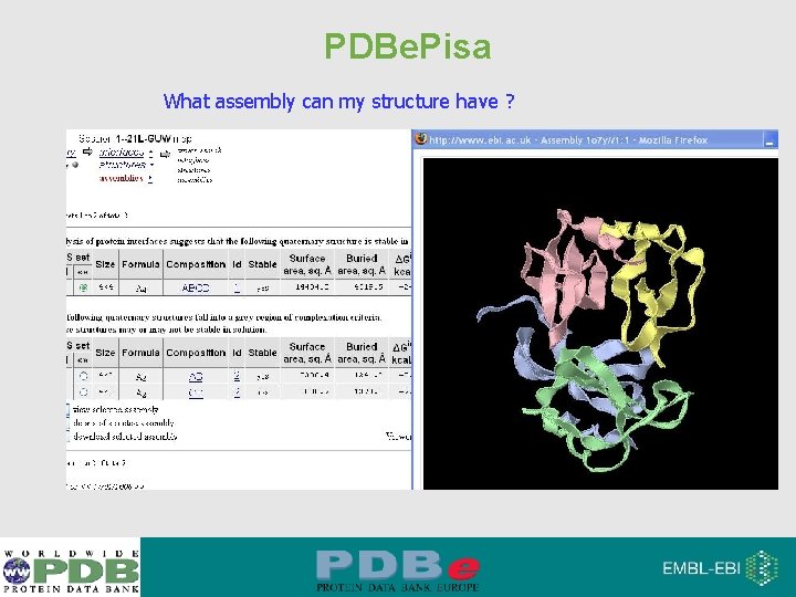 PDBe. Pisa What assembly can my structure have ? 