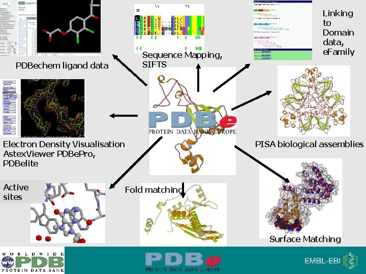 PDBechem ligand data Sequence Mapping, SIFTS Electron Density Visualisation Astex. Viewer PDBe. Pro, PDBelite