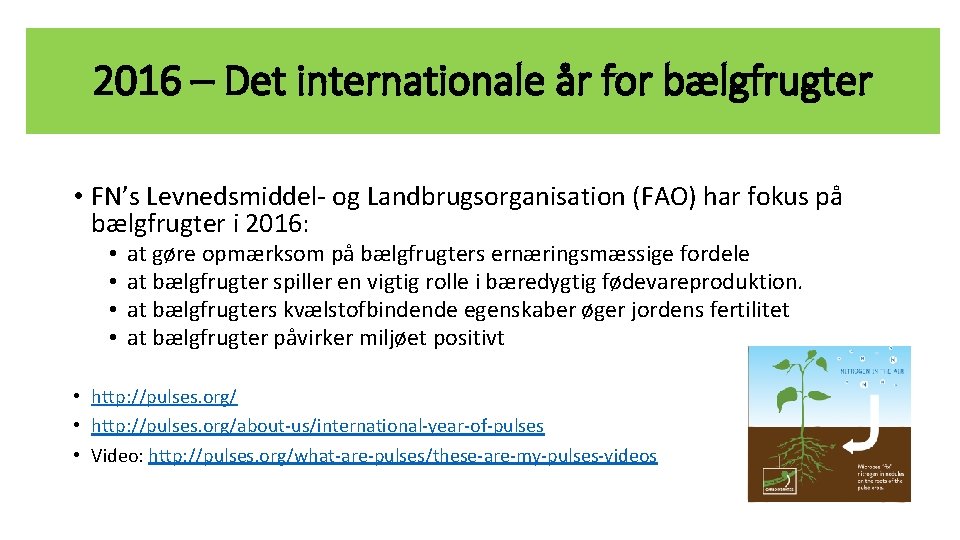 2016 – Det internationale år for bælgfrugter • FN’s Levnedsmiddel- og Landbrugsorganisation (FAO) har