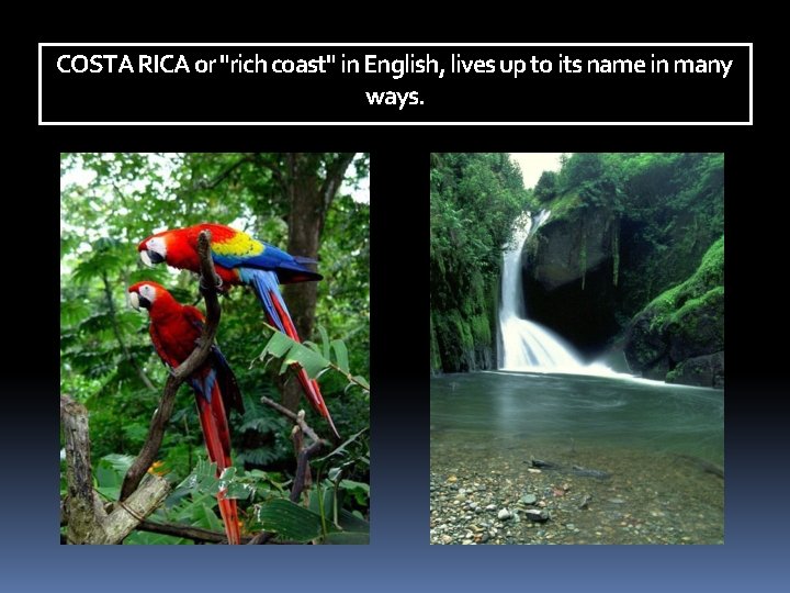 COSTA RICA or "rich coast" in English, lives up to its name in many