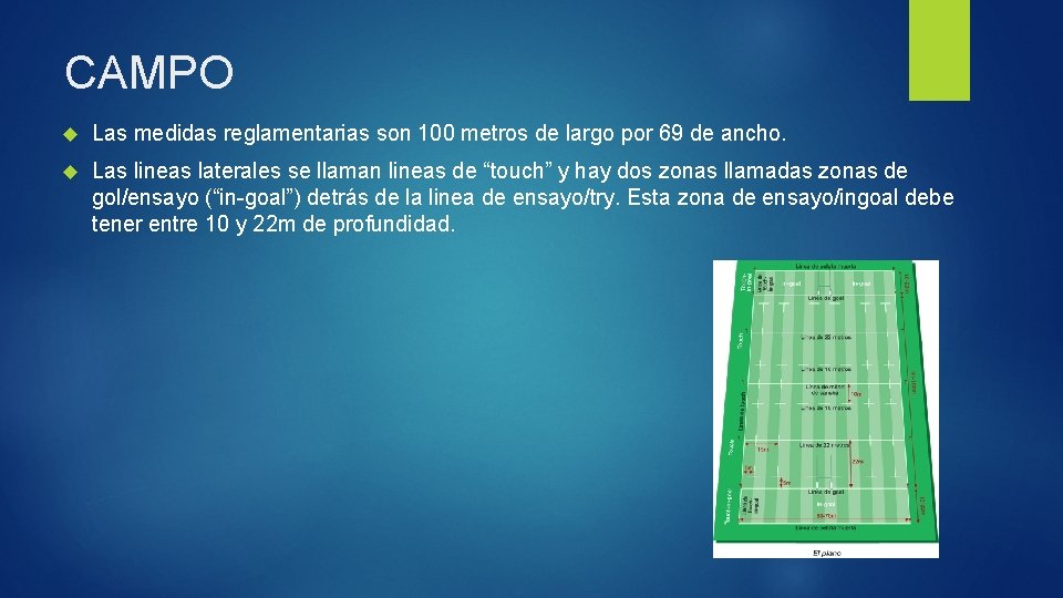CAMPO Las medidas reglamentarias son 100 metros de largo por 69 de ancho. Las