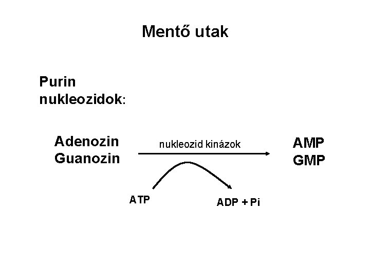 Mentő utak Purin nukleozidok: Adenozin Guanozin nukleozid kinázok ATP ADP + Pi AMP GMP