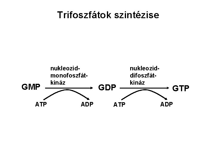 Trifoszfátok szintézise GMP ATP nukleozidmonofoszfátkináz ADP GDP ATP nukleoziddifoszfátkináz GTP ADP 