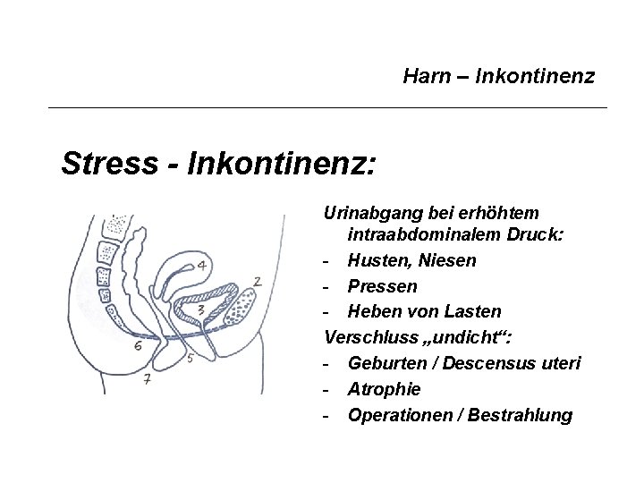 Harn – Inkontinenz Stress - Inkontinenz: Urinabgang bei erhöhtem intraabdominalem Druck: - Husten, Niesen
