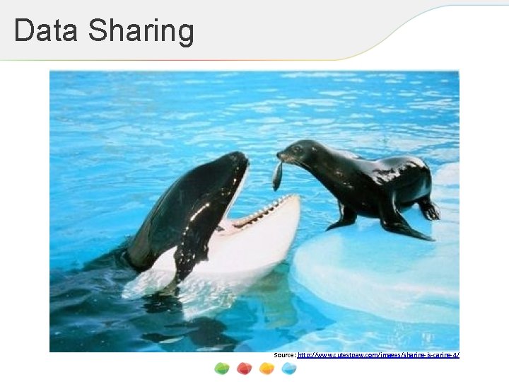 Data Sharing Source: http: //www. cutestpaw. com/images/sharing-is-caring-4/ 