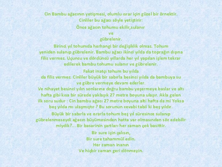 Cin Bambu ağacının yetişmesi, olumlu ısrar için güzel bir örnektir. Cinliler bu ağacı söyle