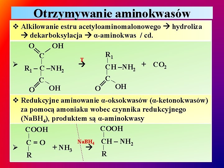 Otrzymywanie aminokwasów || | v Alkilowanie estru acetyloaminomalonowego hydroliza dekarboksylacja α-aminokwas / cd. O