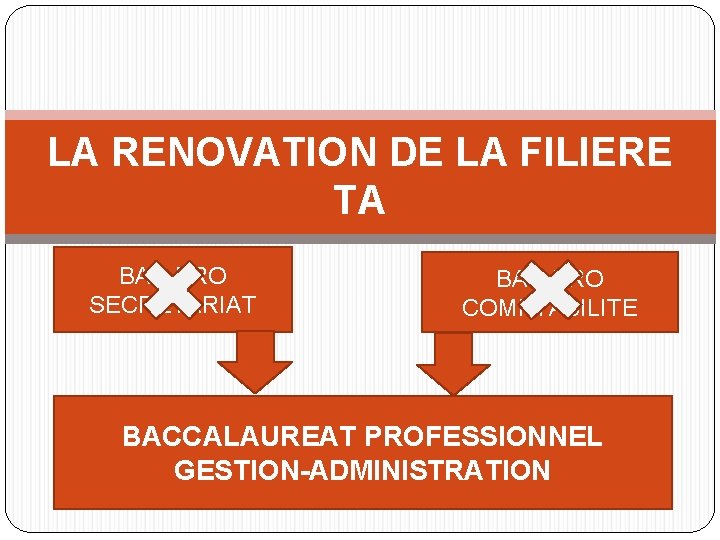 LA RENOVATION DE LA FILIERE TA BAC PRO SECRETARIAT BAC PRO COMPTABILITE BACCALAUREAT PROFESSIONNEL